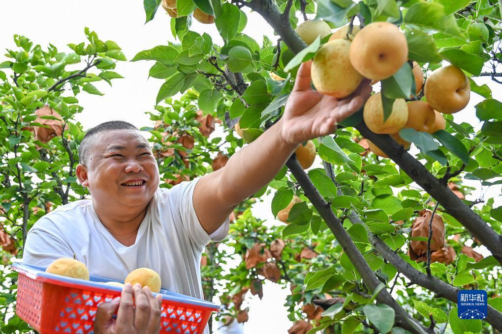 中心正版下载